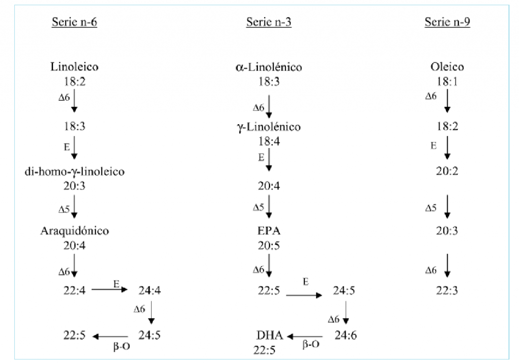 Acidos grasos poliinsaturados omega-3 en la enfermedad de alzheimer.