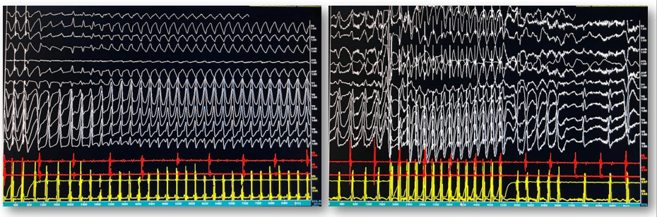 Imagen que contiene circuito, computadora Descripción generada automáticamente