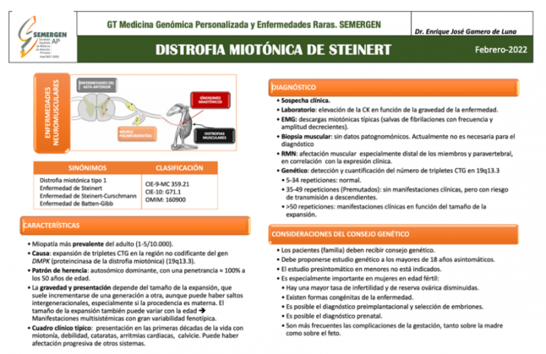 Cuestiones clave sobre la enfermedad de Steinert