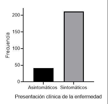 Gráfico, Gráfico de barras Descripción generada automáticamente