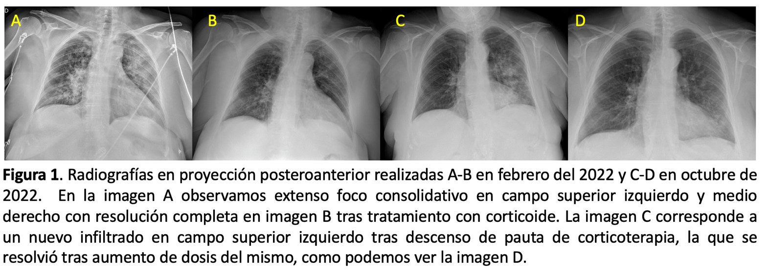 Texto
Descripción generada automáticamente