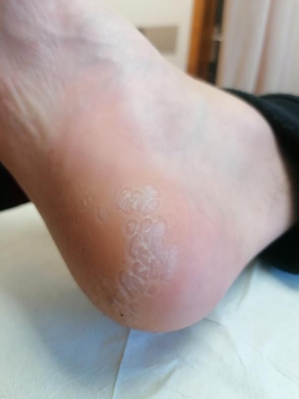 IMG_20240223_122213.jpg
