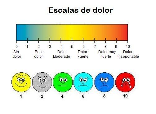 Resultado de imagen de escala eva