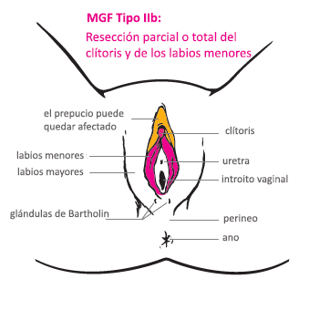 https://www.uab.cat/servlet/BlobServer?blobtable=Imatge&blobcol=urlimg&blobheader=image/png&blobkey=id&blobwhere=1345801038291&blobnocache=true
