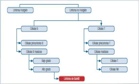 Diagrama Descripción generada automáticamente