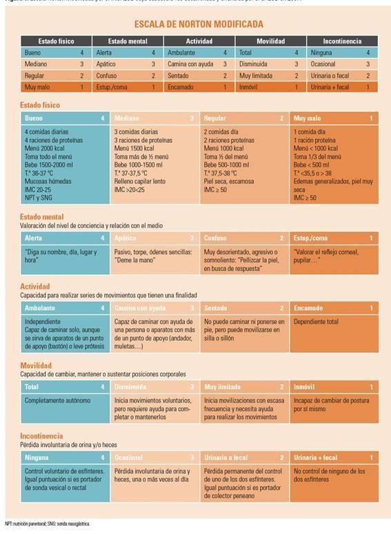 La escala de Norton modificada por el INSALUD y sus diferencias en la práctica clínica