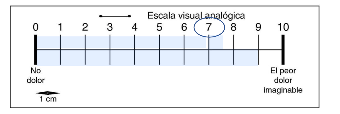 Tabla
Descripción generada automáticamente