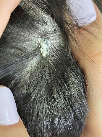 Una mujer con el cabello largo
Descripción generada automáticamente con confianza media