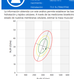Gráfico Descripción generada automáticamente