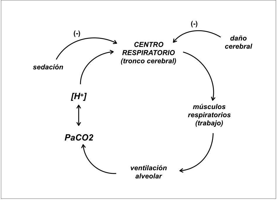 Diagrama
Descripción generada automáticamente