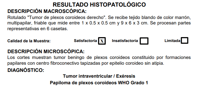 Texto, Carta Descripción generada automáticamente