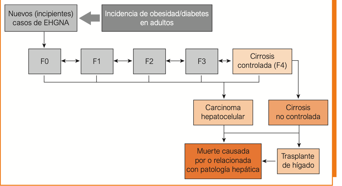 Diagrama
Descripción generada automáticamente