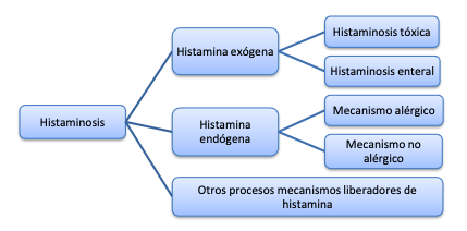 Imagen que contiene captura de pantalla Descripción generada automáticamente
