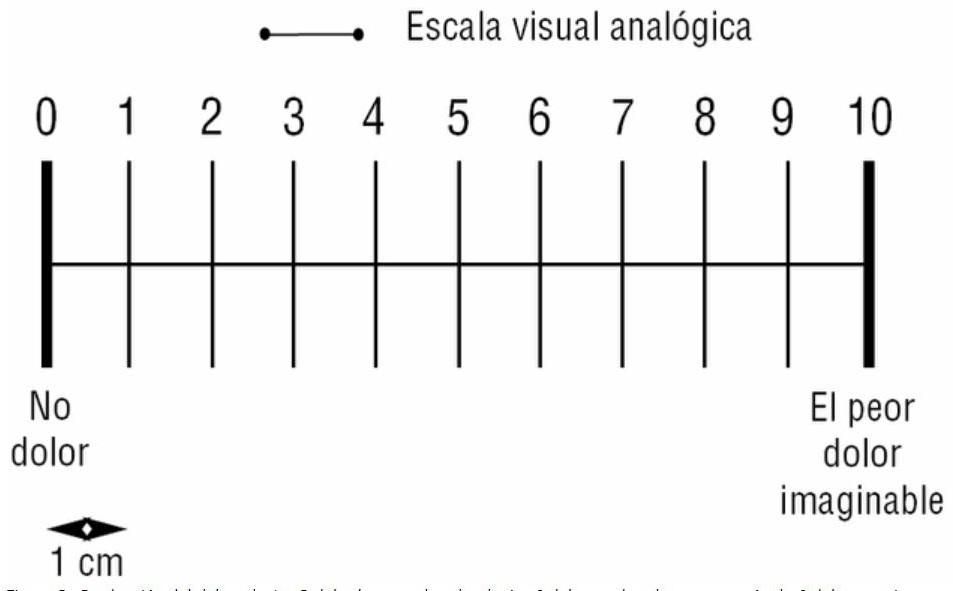 Imagen que contiene Texto Descripción generada automáticamente