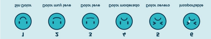 Forma
El contenido generado por IA puede ser incorrecto.