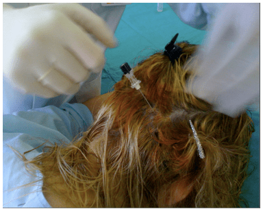 Una persona con un perro en una cama El contenido generado por IA puede ser incorrecto.