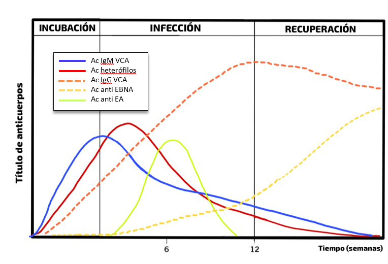 Gráfico, Gráfico de líneas El contenido generado por IA puede ser incorrecto.