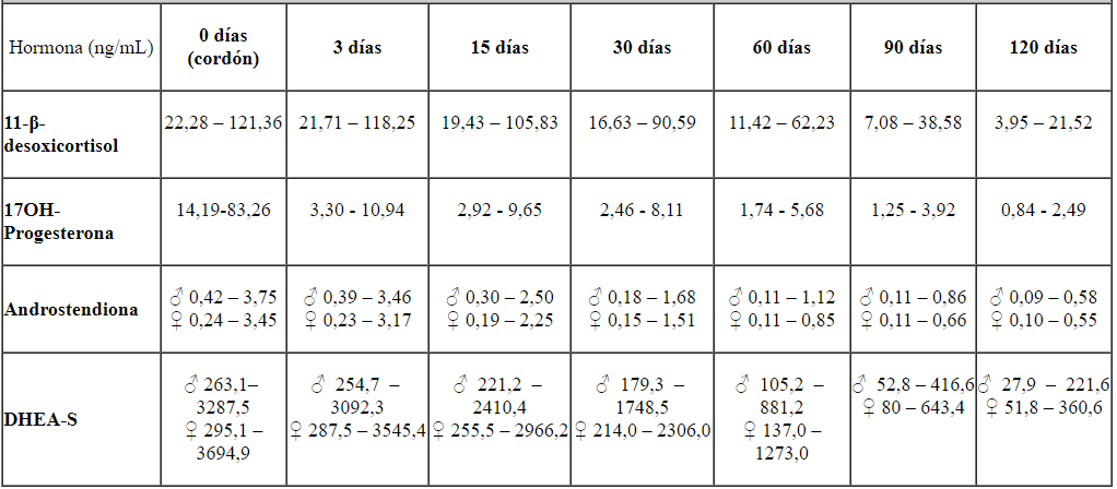 Tabla Descripción generada automáticamente