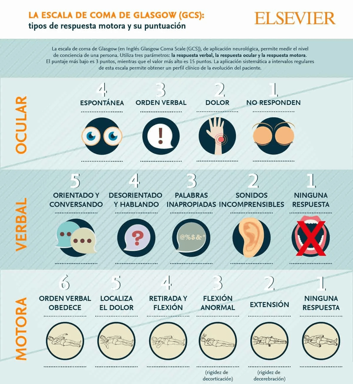 Interfaz de usuario gráfica
Descripción generada automáticamente