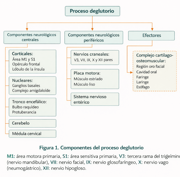 Diagrama El contenido generado por IA puede ser incorrecto.