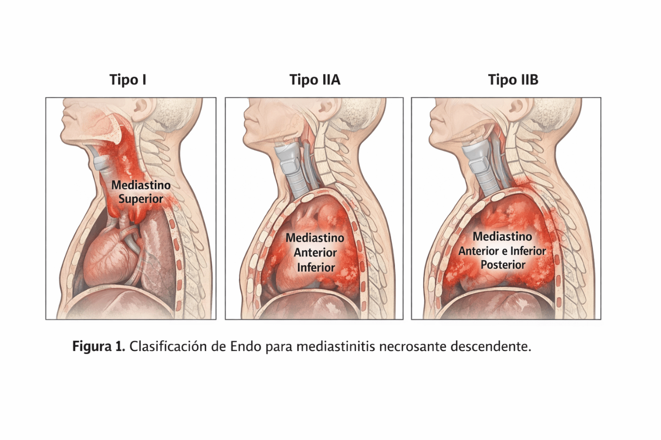 Diagrama Descripción generada automáticamente